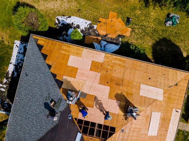 Best Local Roofing Companies  in Cotter, AR