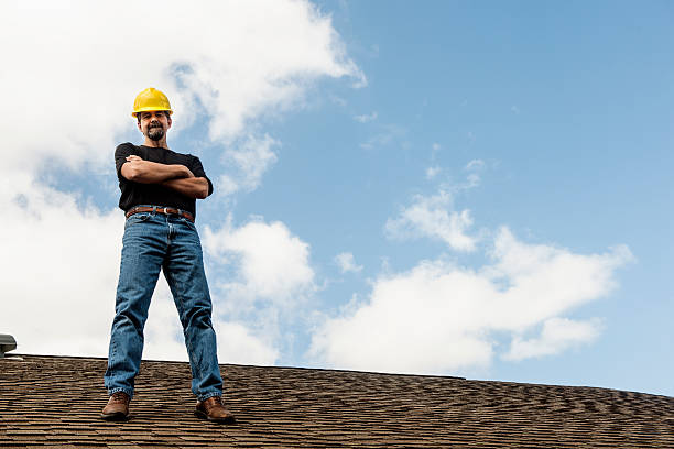 Roof Gutter Cleaning in Cotter, AR